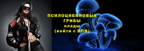 молекула духа Баксан