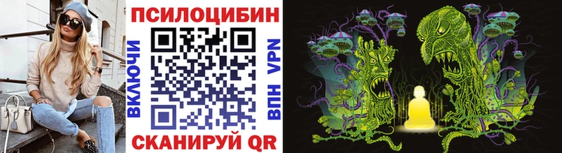 где можно купить наркотик  Реж  KRAKEN вход  Псилоцибиновые грибы Magic Shrooms 