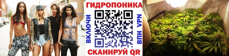 Бошки Шишки MAZAR  Реж 